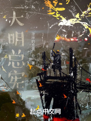 大明总宪大明总宪